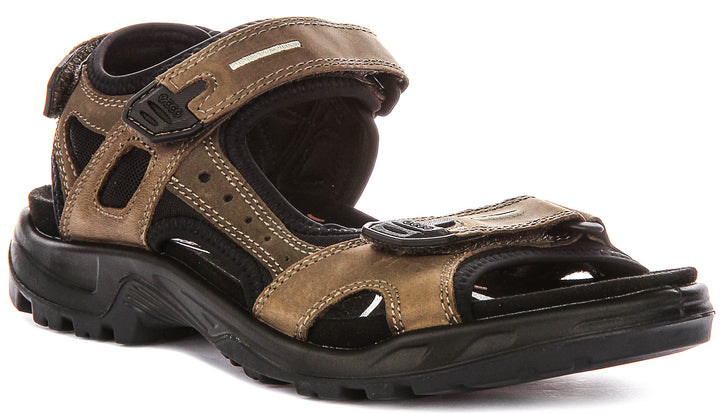 Ecco Offroad In Green For Men