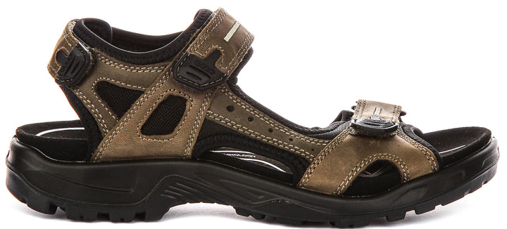 Ecco Offroad In Green For Men