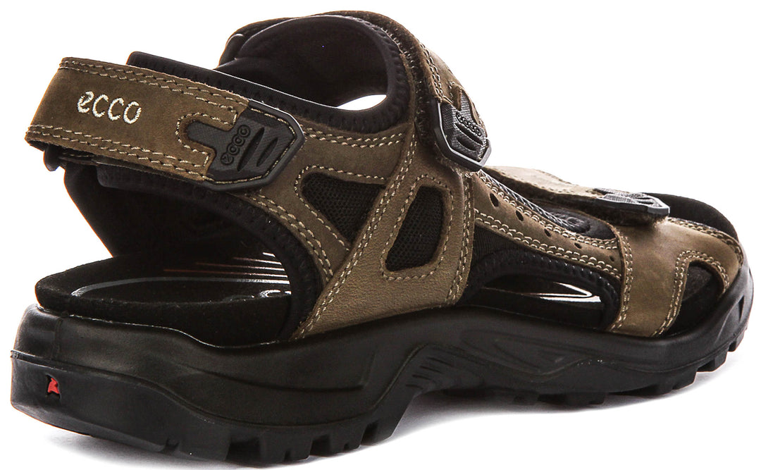 Ecco Offroad In Green For Men
