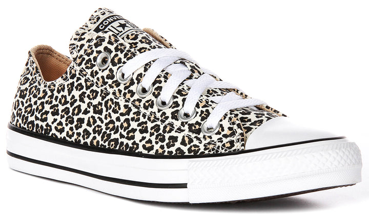 Converse All Star Low A14941C In Leopard Print