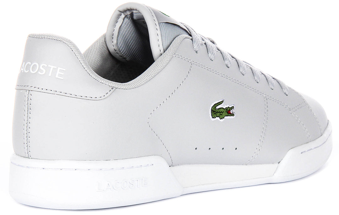 Lacoste Carnaby Cupsole in Hellgrau für Herren