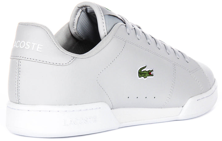 Lacoste Carnaby Cupsole in Hellgrau für Herren