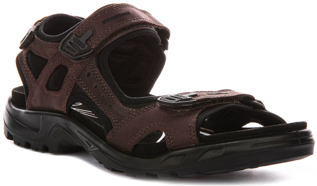 Ecco Offroad In Mocha For Men