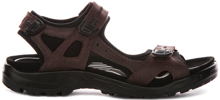 Ecco Offroad In Mocha For Men