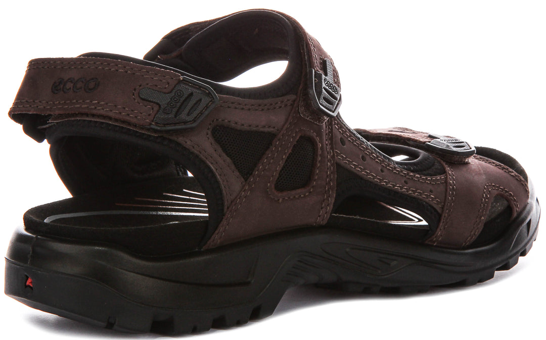 Ecco Offroad In Mocha For Men