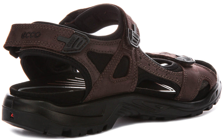 Ecco Offroad In Mocha For Men