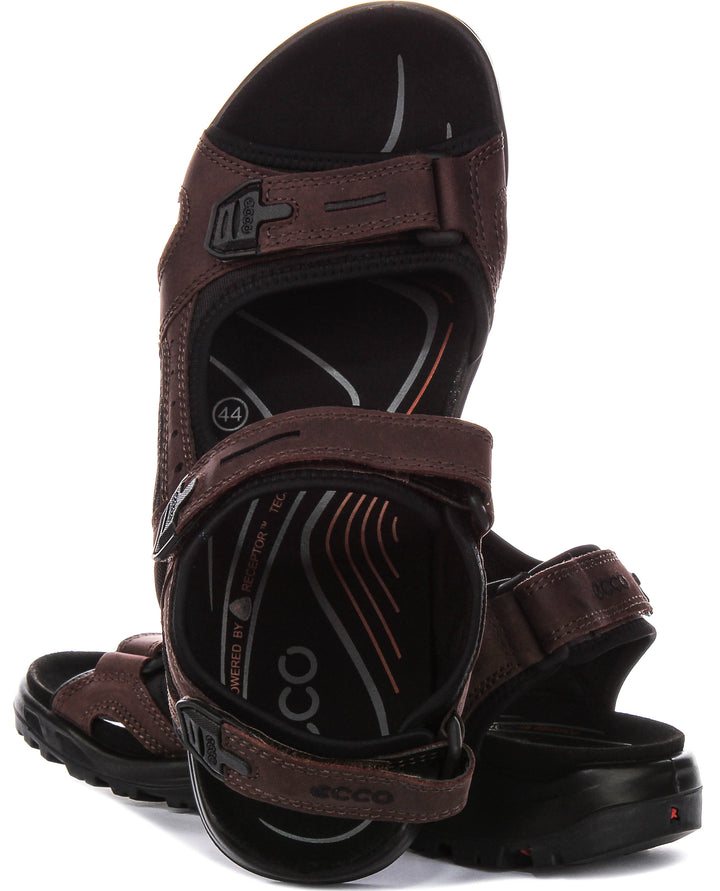 Ecco Offroad In Mocha For Men