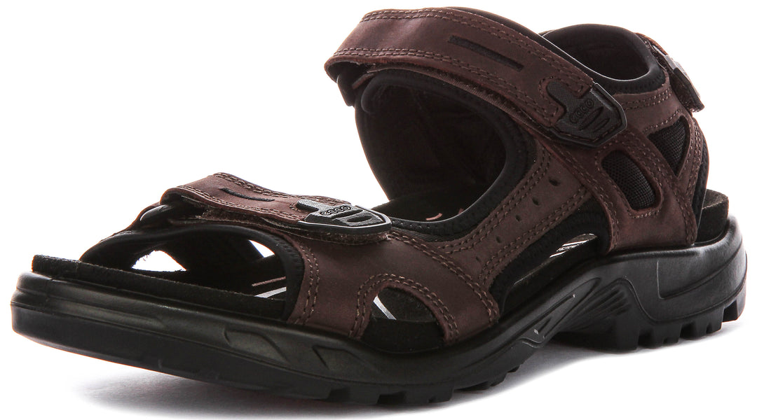 Ecco Offroad In Mocha For Men