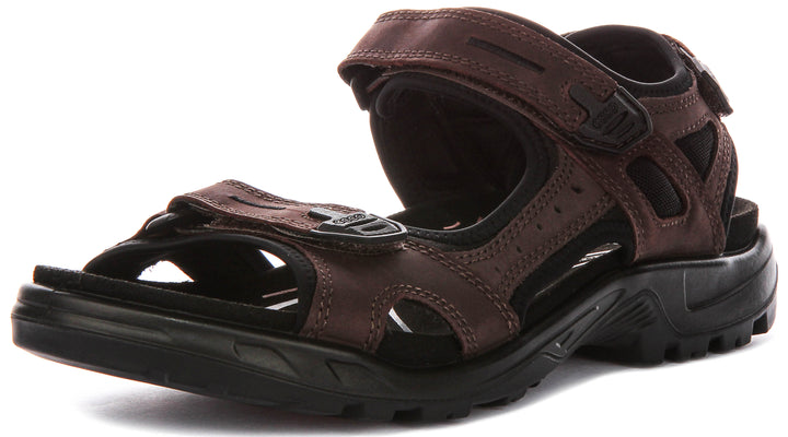 Ecco Offroad In Mocha For Men