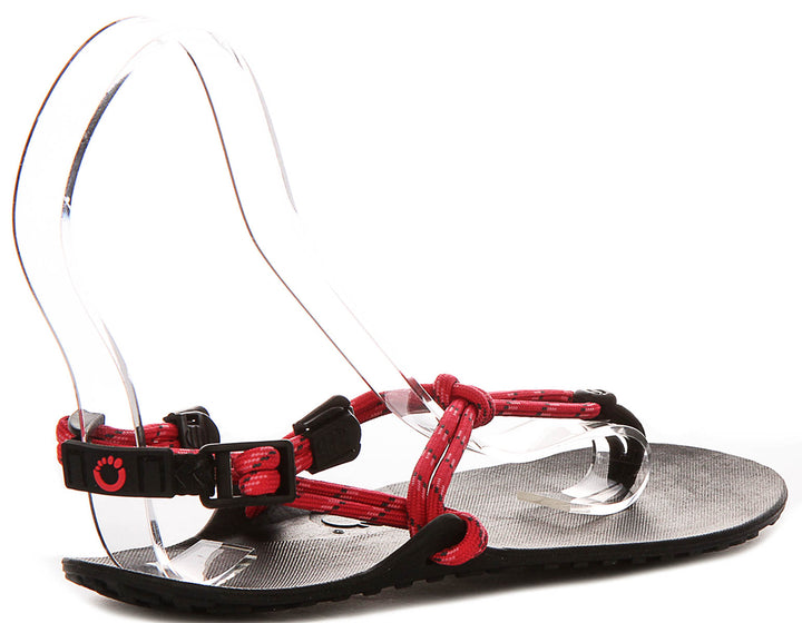 Xero Shoes Genesis In Raspberry For Women