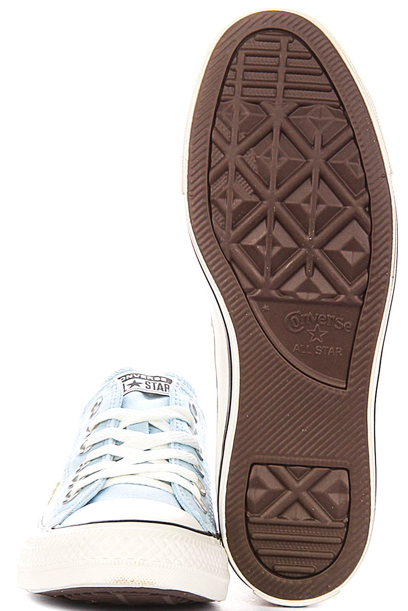 Converse Chuck Taylor A16905C All Star Summer Embroidered Flower In Sky Blue