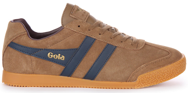 Gola Classics Harrier Zapatillas de deporte clásicas con cordones en piel de ante para hombre en tabaco