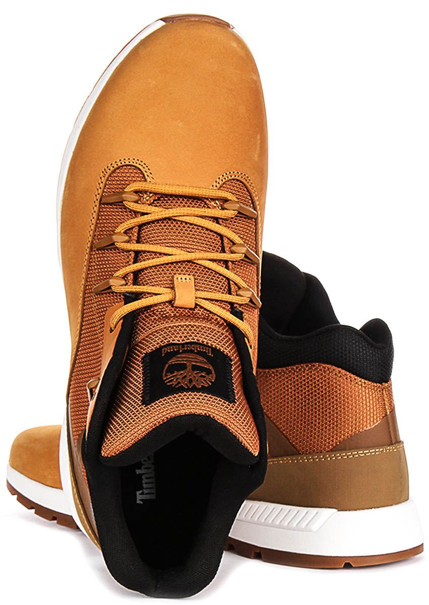 Timberland Field Trekker A6CPS In Wheat For Men