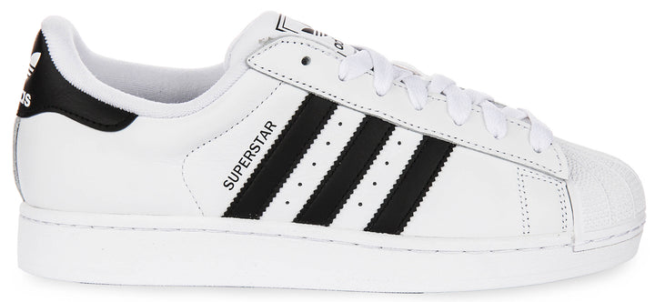 Adidas Superstar II In White Black