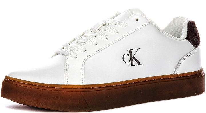 Calvin Klein Classic Cupsole In White Gum For Men