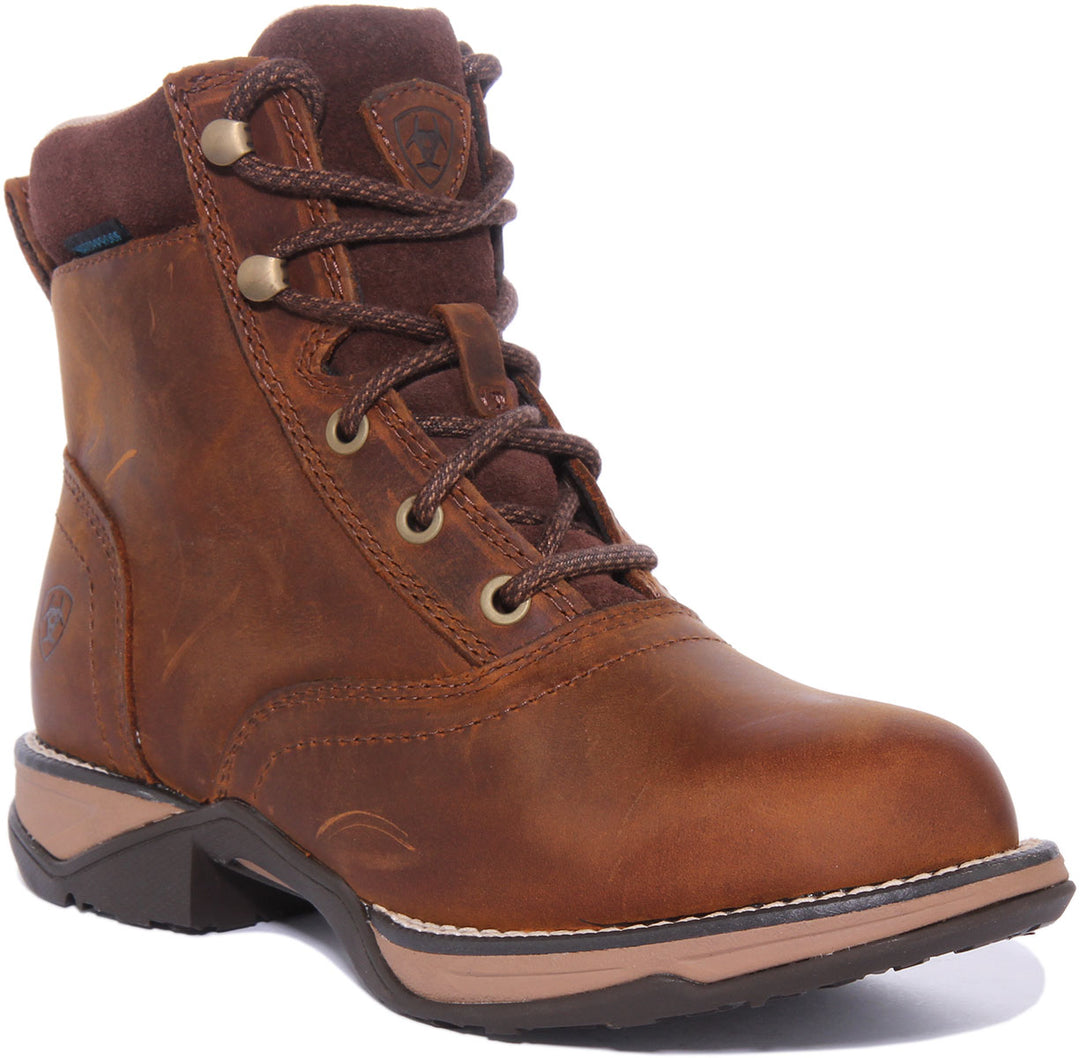Ariat Anthem H20 In Brown For Women