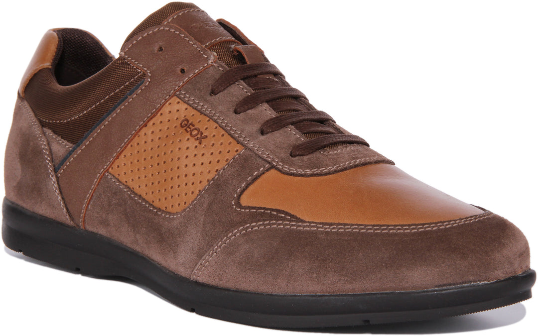 Geox U Adrien A In Brown For Men Low Profile Casual Leather