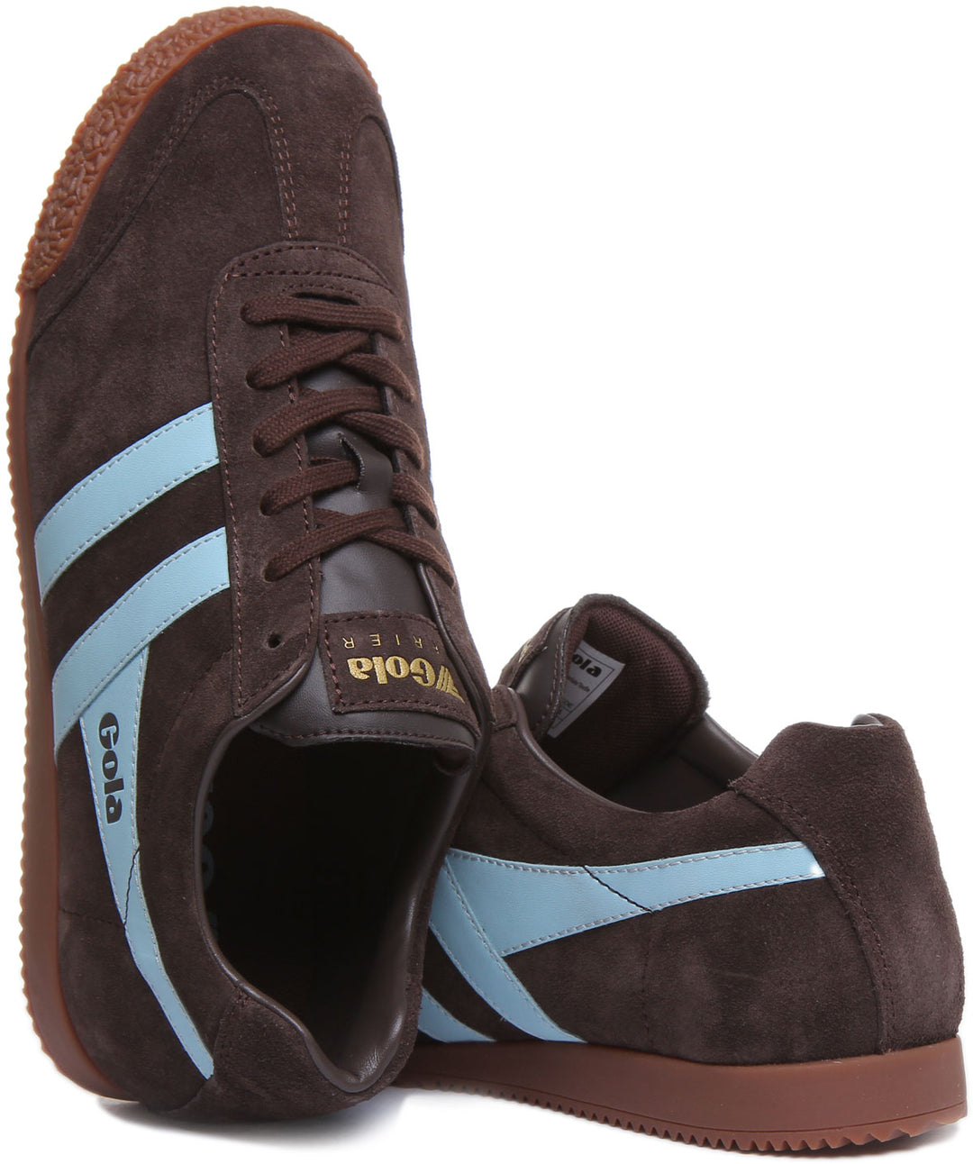 Gola Classics Harrier Suede In Brown Blue