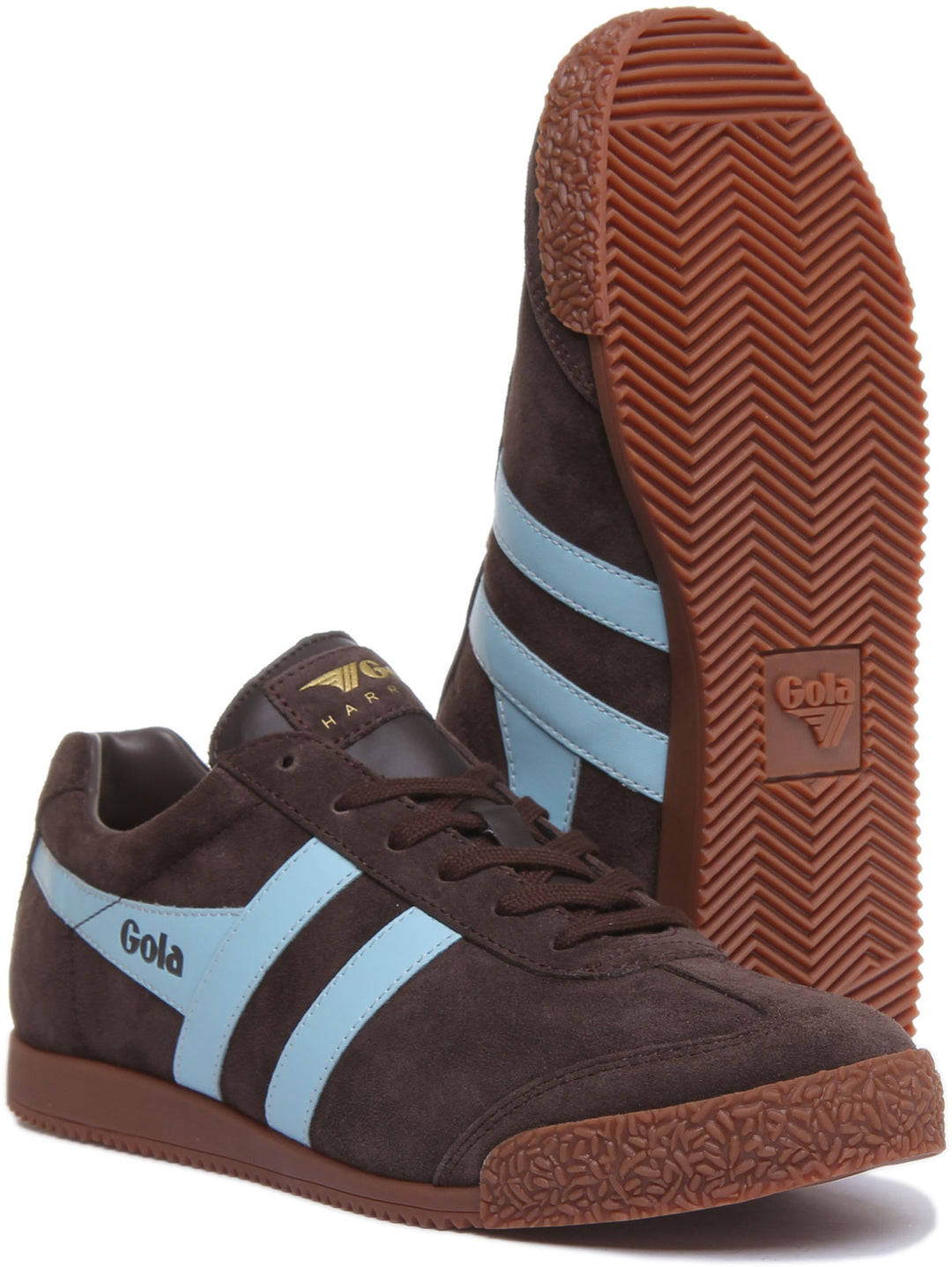 Gola Classics Harrier Suede In Brown Blue