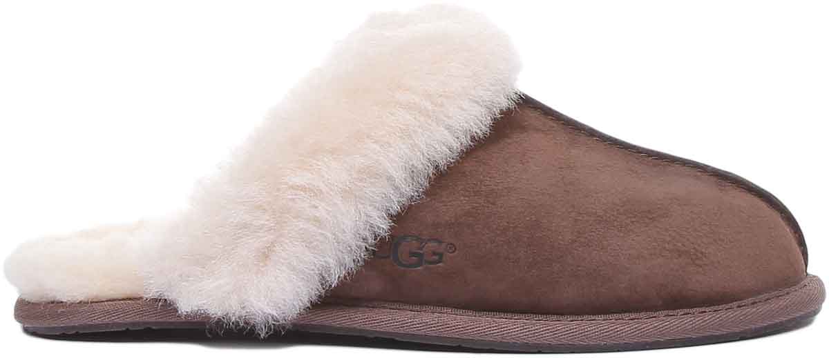 Espresso on sale ugg slippers