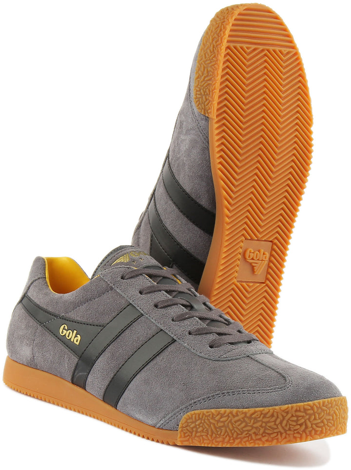 Gola Classics Harrier In Grey Black For Men