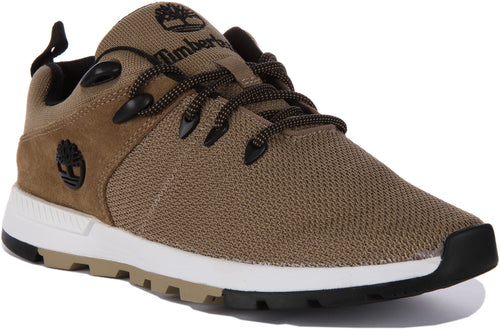 Timberland Sprint Trekker Low Baskets à lacets en tricot pour hommes en olive