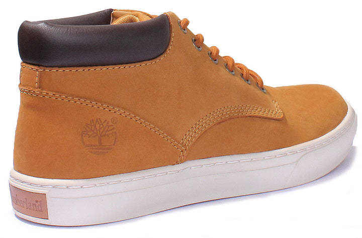 Timberland A1Jtp In Wheat For Men