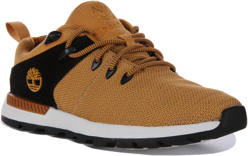 Timberland Sprint Trekker Baskets à lacets en tricot pour hommes en blé